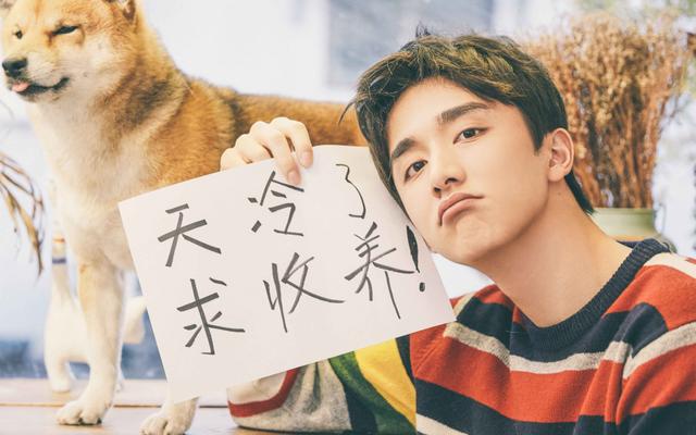 《快樂大本營》收視率創歷史新低，網友：都怪張新成和白鹿 娛樂八卦吃瓜 第6张