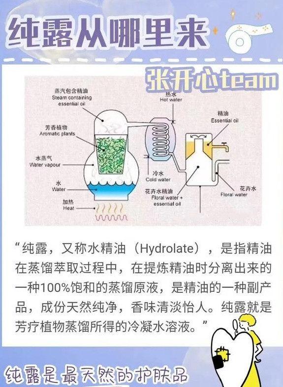 洋甘菊纯露的功效及使用方法简书，逐源洋甘菊纯露