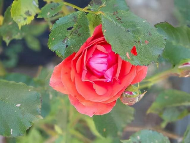 发朋友圈，要记得：屏蔽一些“重要”的人