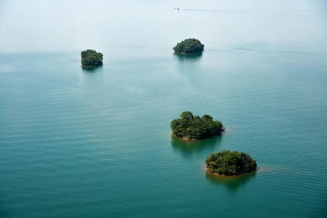 微信能看抖音的日子，已经不远了