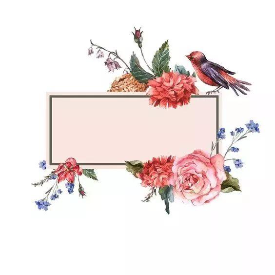 新年手绘图片简笔画 新年礼物简笔画大全