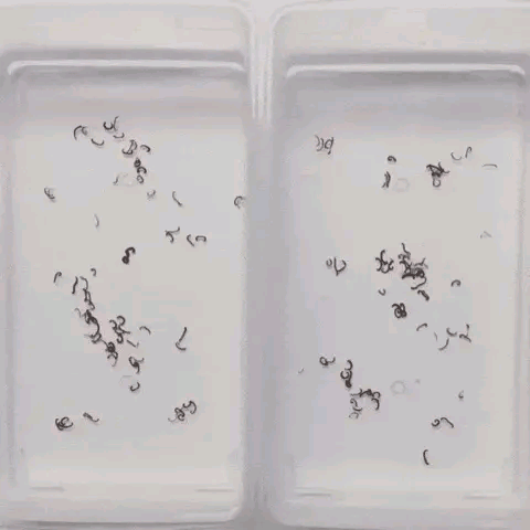 笑死我了，妹子你還好意思發自拍，門都變形了，好尷尬啊 搞笑整蠱 第22张