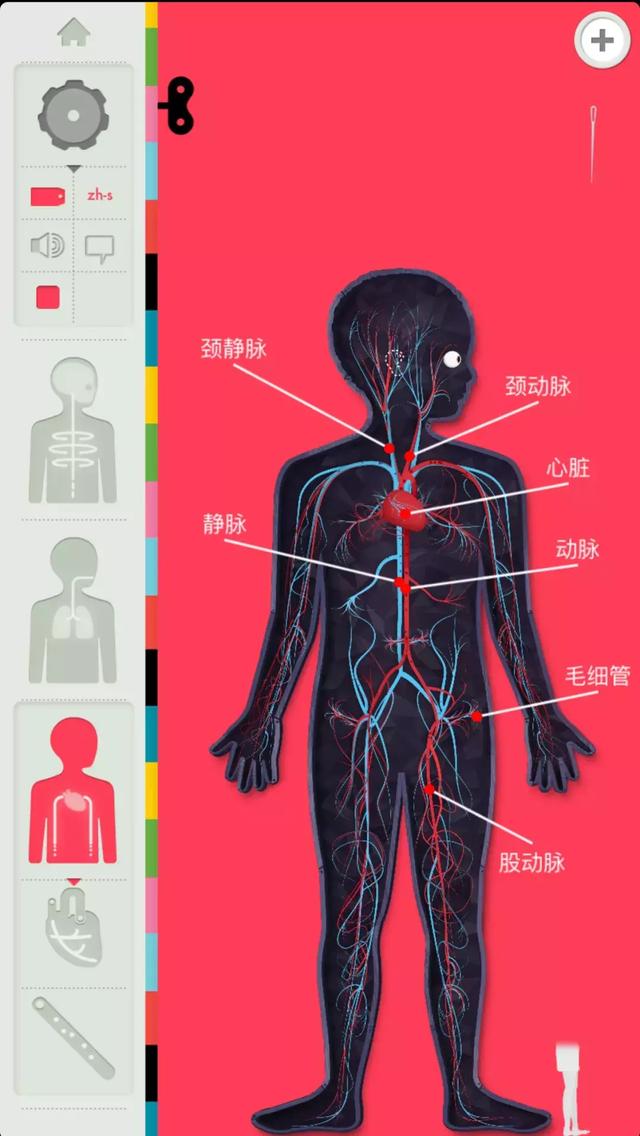 专门看星座的软件(有没有专门研究星座的软件)插图35