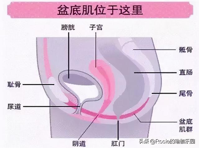 吉娜生子朱丹二胎，如何做好產後修復？注意這3點輕松做辣媽 健身減肥達人 第11张