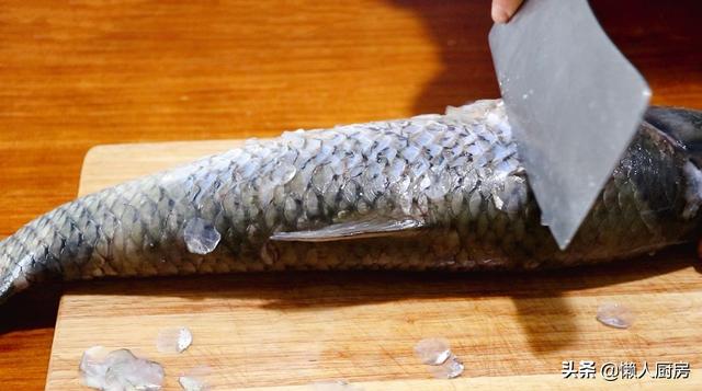 魚鱗別再扔掉了，它營養豐富，4斤重的草魚能刮下多少魚鱗？ 熱愛美食 第3张