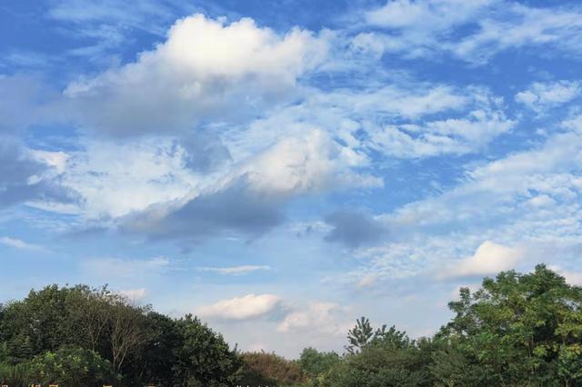 裸辞的后果有多严重（裸辞后找工作是不是比较难）