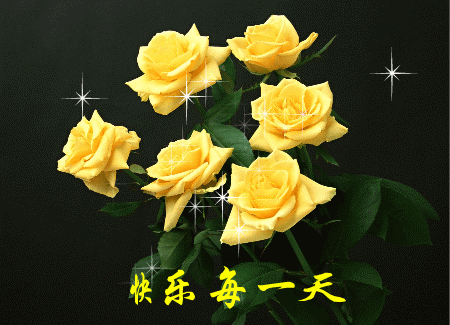 情人节送男友什么今天5.20，520玫瑰送给群里所有的朋友~祝天下有情人情人节快
