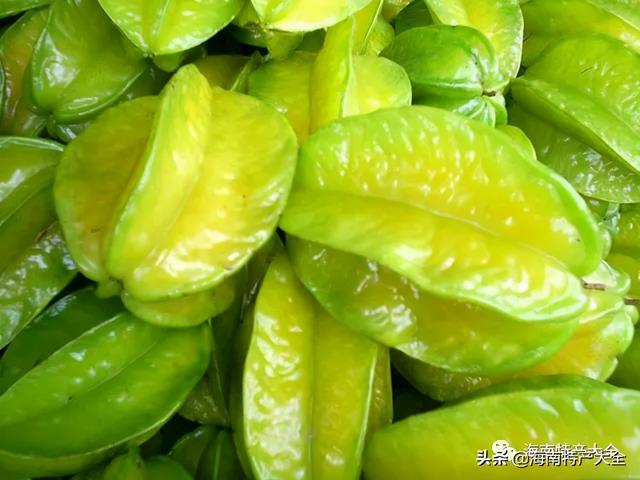 热带水果图片名称大全，海南10种热带水果（海南热带水果全介绍）