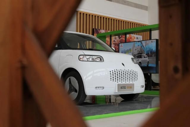 养得一手好猫？欧拉白猫初体验