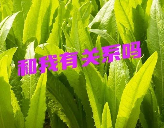 666是什么意思，2021年发红包吉利数字一览表