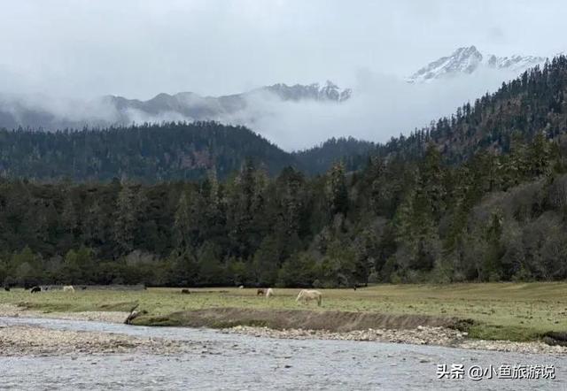 318川藏线自驾全程攻略详细，318川藏线自驾攻略