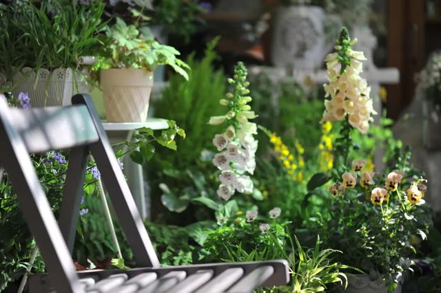 法式花园如何欣赏，海妈花园访问阳台花园满分案例