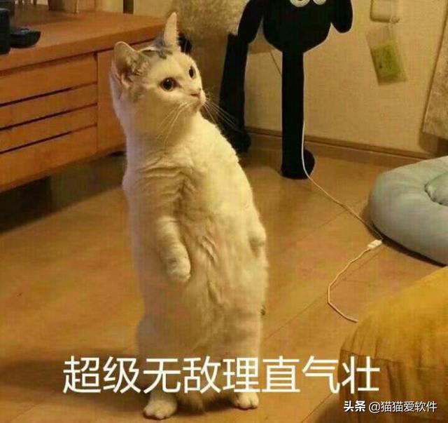 电脑常用办公软件有哪几个（推荐频率最高的14款办公必备软件）