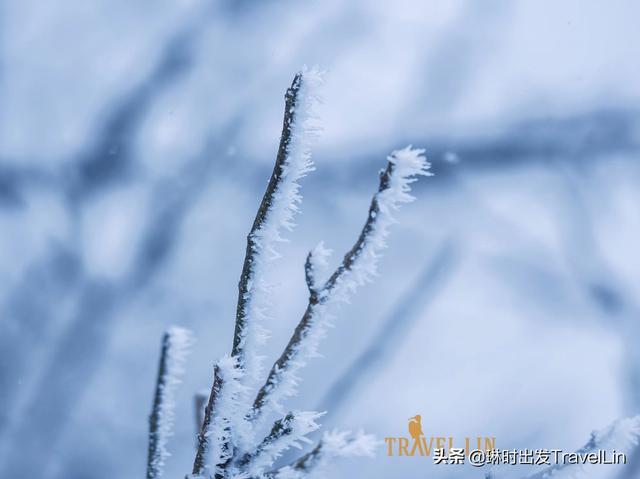 泸沽湖里格岛住宿推荐，位于川西的小瑞士