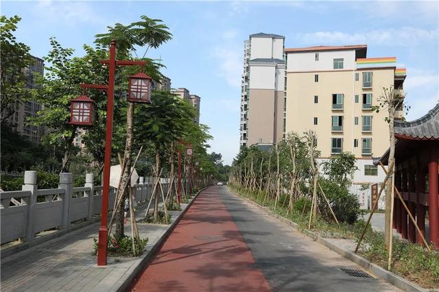 广州绿道田园景点，博罗这些高颜值绿道等你来打卡