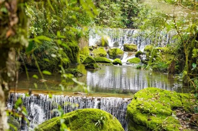 南川区十大必去景点，环金佛山178公里