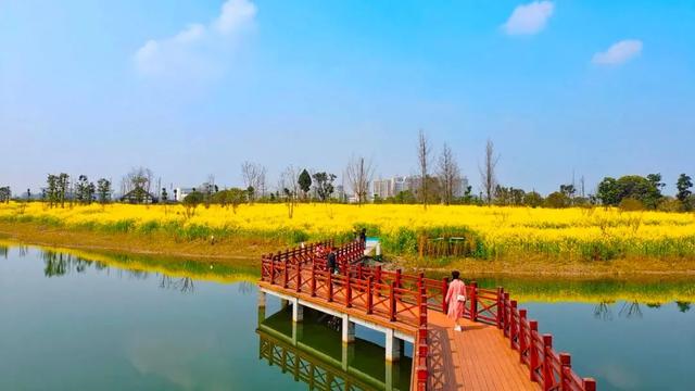 成都周边花海一日游，成都出发1h赏千亩梨花