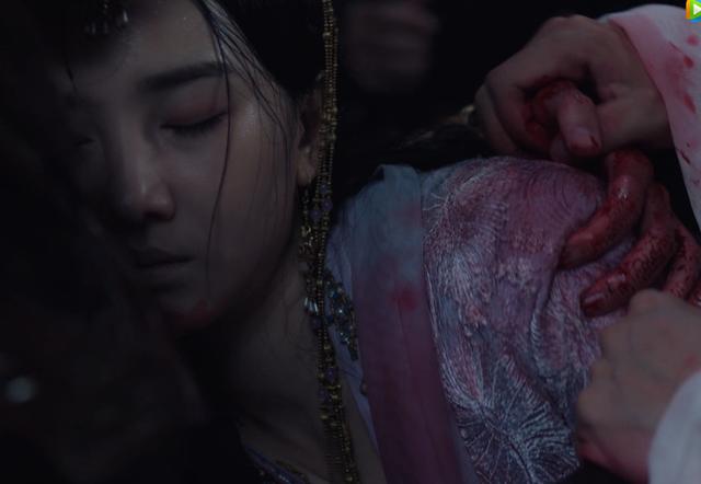 斛珠夫人剧情介绍（斛珠夫人大结局怎么样）