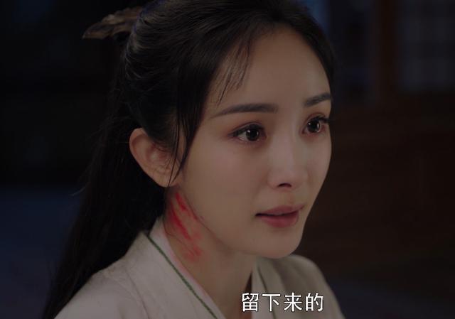 斛珠夫人剧情介绍（斛珠夫人大结局怎么样）