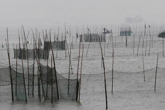 上海为什么简称沪，上海简称沪是什么意义（原来繁华大都市过去并不只是小渔村）