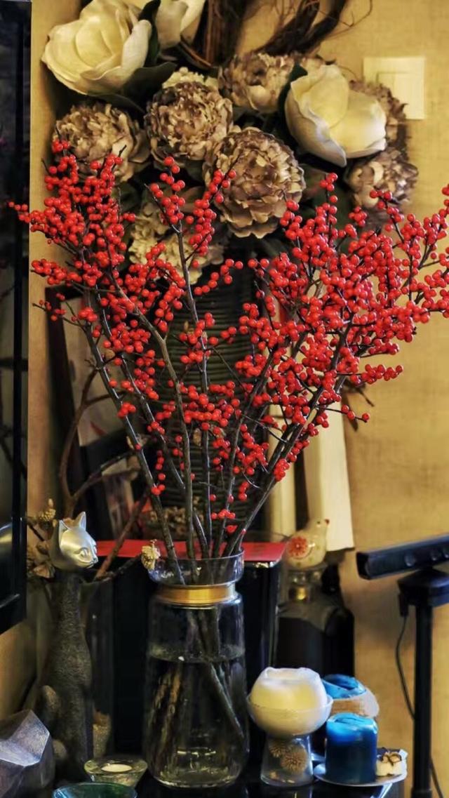 春节花卉品种大全大图，春节遇花期，五彩斑斓过新年