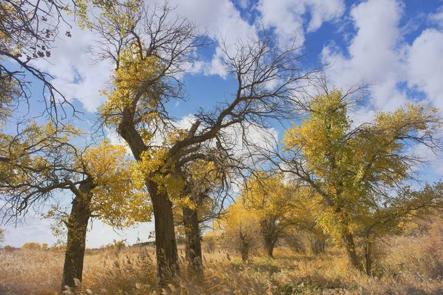 酒泉卫星基地地图，酒泉卫星发射中心地图