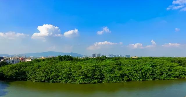 腾讯，做了一个艰难而正确的决定