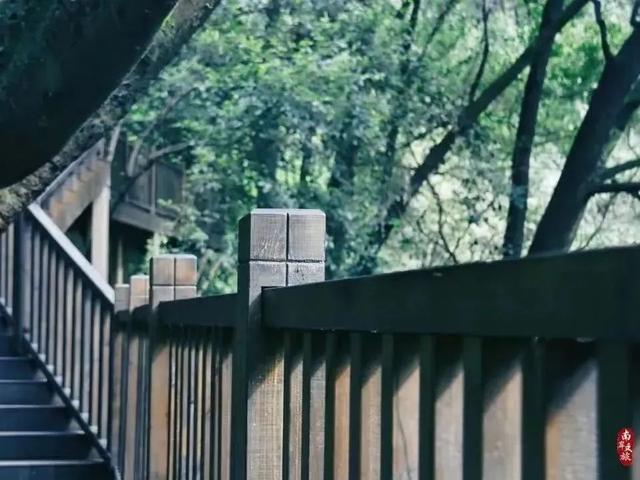 重庆南岸区景点，南岸区有哪些好玩的景点免费（在南岸区不妨可以到这些地方走走）