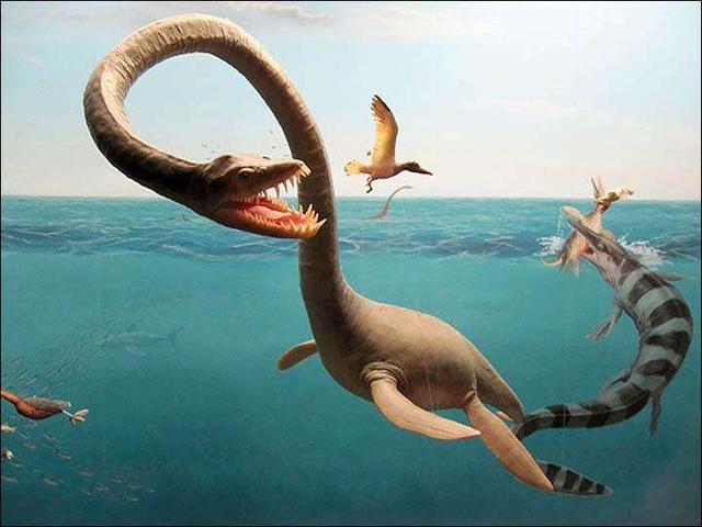 海洋十大霸主排行榜，世界上最可怕的十大海洋生物——虎鲸到底是不是海洋霸主