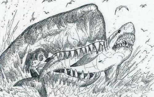 海洋十大霸主排行榜，世界上最可怕的十大海洋生物——虎鲸到底是不是海洋霸主