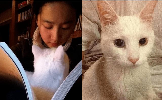 刘亦菲陈金飞被拍豆瓣，陈金飞：和刘亦菲母女都有绯闻