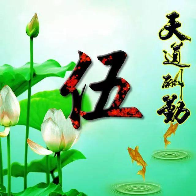 荷花头像图片大全，荷花头像高清图