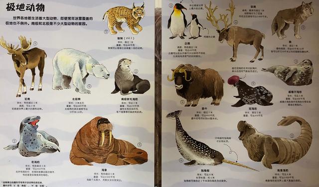 南极冰盖覆盖图，若东南极冰盖融化