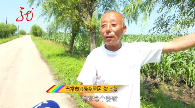 世界上第一只被人刺死的羊，谁是凶手11只羊突然死亡