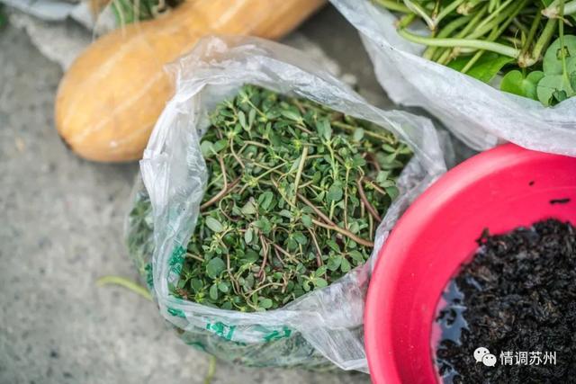 早市便宜的蔬菜，这些新鲜蔬菜你认识几个