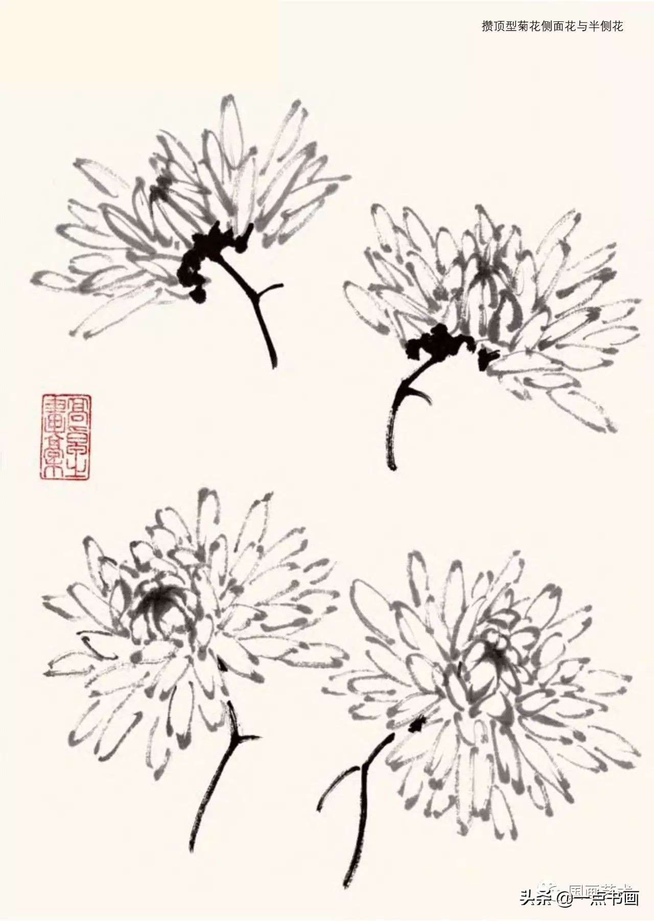 菊花怎么画简单又好看菊花怎么画简单又好看铅笔画