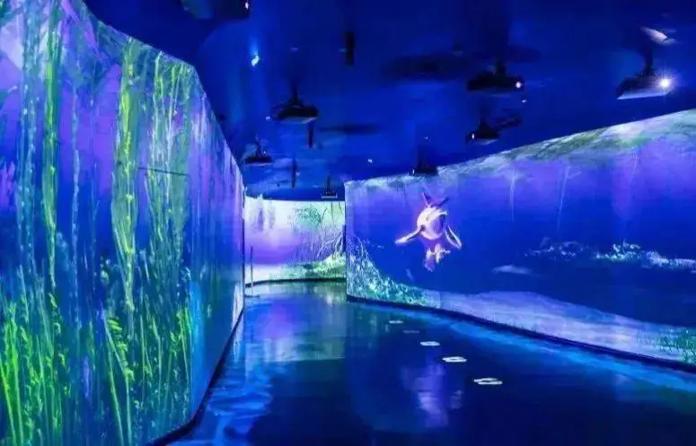 蓝色海岸海洋乐园,圣蓝海洋公园