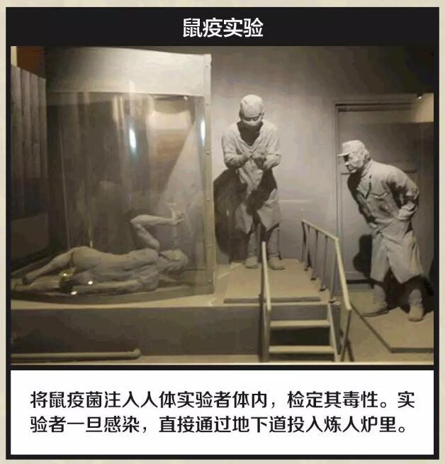 关于毒气的电影(日本人实验毒气电影) - 好技术常识经验网