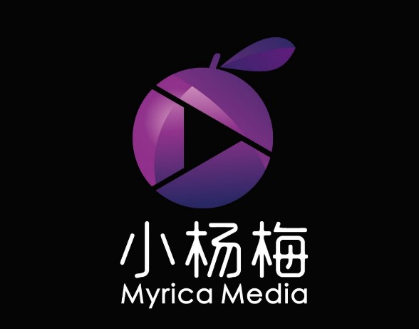 华体会手机版app官网下载包(找抖音代运营公司，切莫贪小便宜吃大亏)  第2张