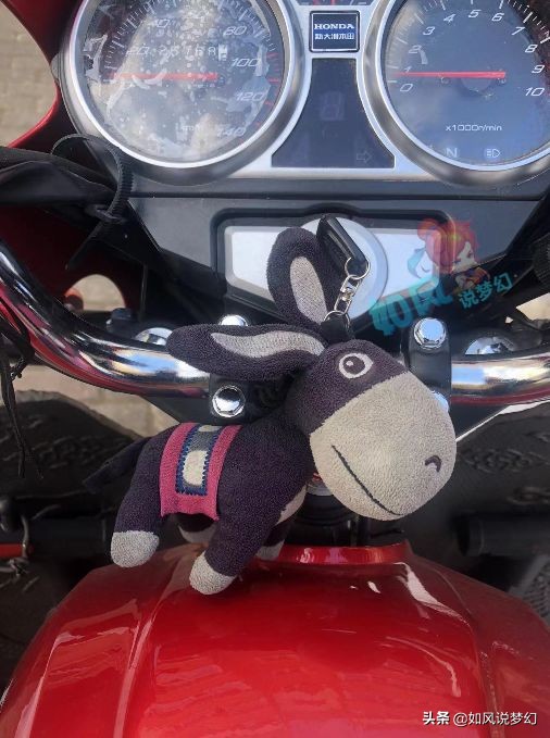 梦幻西游：主播梧桐生日夜送3760元红包，玩家带神行小驴送外卖