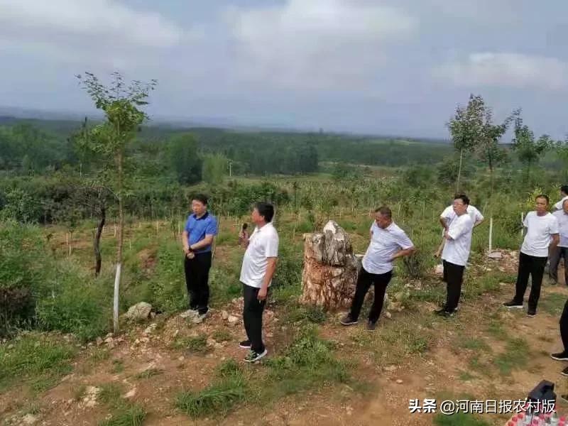 桐柏县吴湾村深山贫困村变成明星村