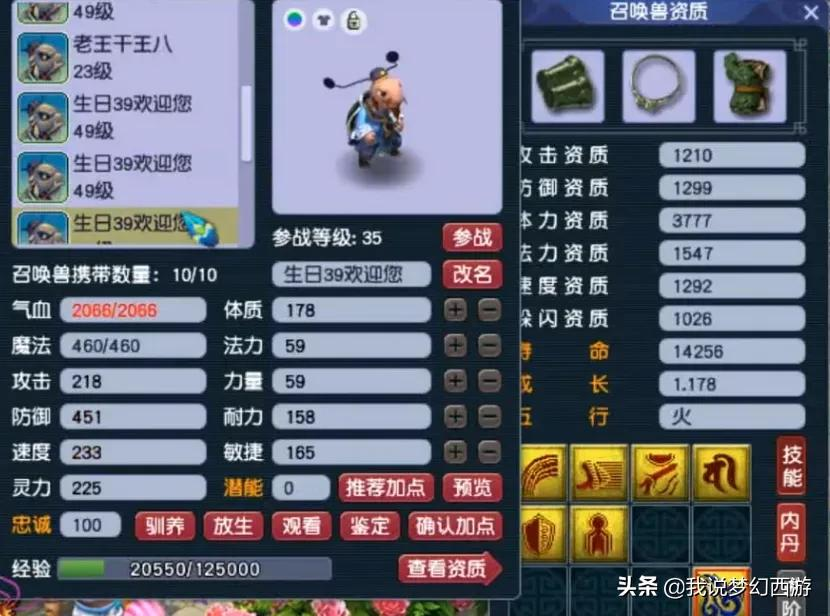 梦幻西游：群英荟萃，王八开会！单看玩乌龟，王谢都赶不上他
