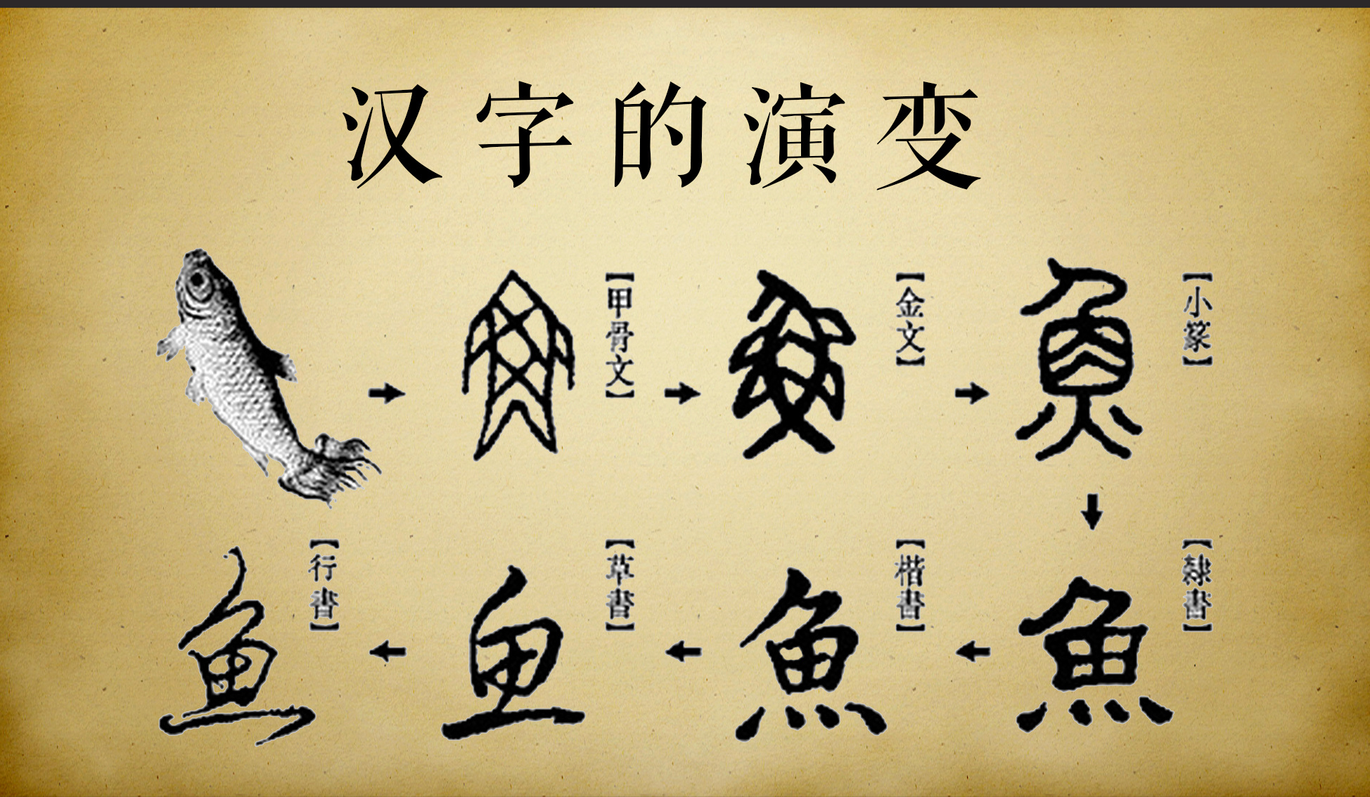 汉字的演变过程汉字的起源汉字的形体发展汉字演变的意义