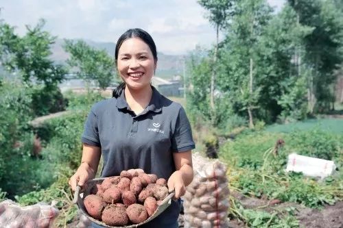 甘肃抖音号代运营哪里好(掌握信息=走向致富，跟着字节跳动学信息扶贫模式，跟着头条、抖音达人学脱贫案例)  第5张