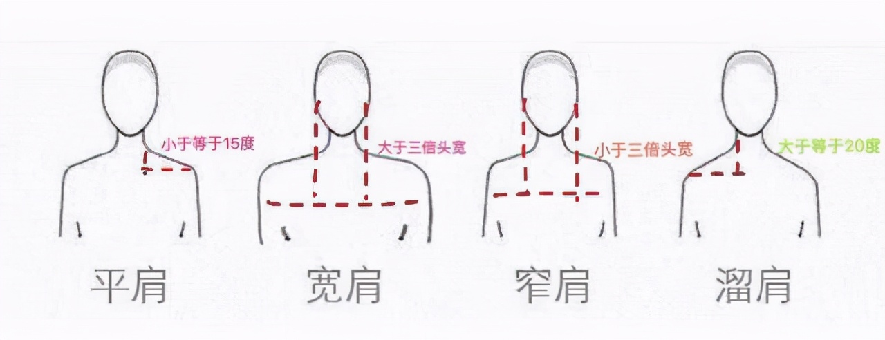 肩寬怎么量
