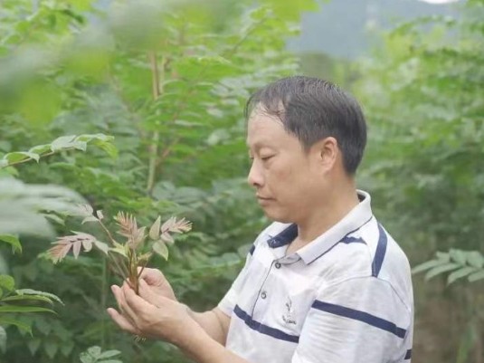 常山抖音自主账号代运营流量高吗(秋天第一口“鲜嫩”来了！浙江姑娘直播带货：9.9元一把卖疯)  第3张