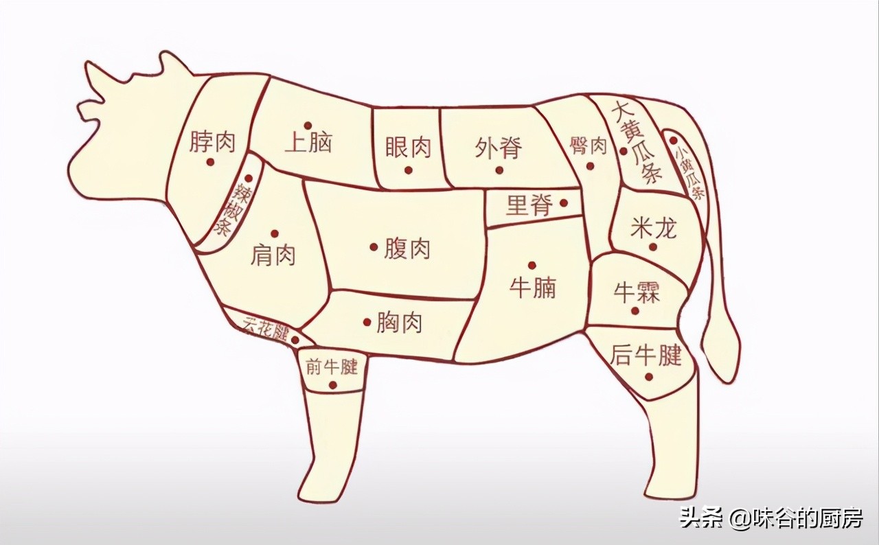 牛肉哪个部位的肉最嫩最好吃（教你选4个肉质软嫩的部位）