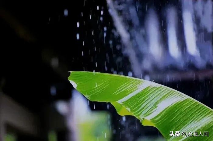 七绝深秋夜雨