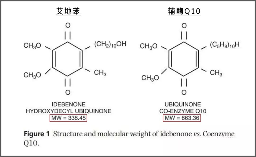 药学博士:护肤界最强抗氧化剂[艾地苯]究竟是啥玩意儿?成分解析