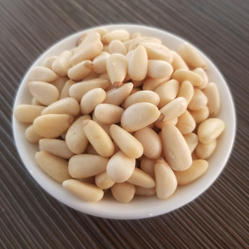 中药松子仁